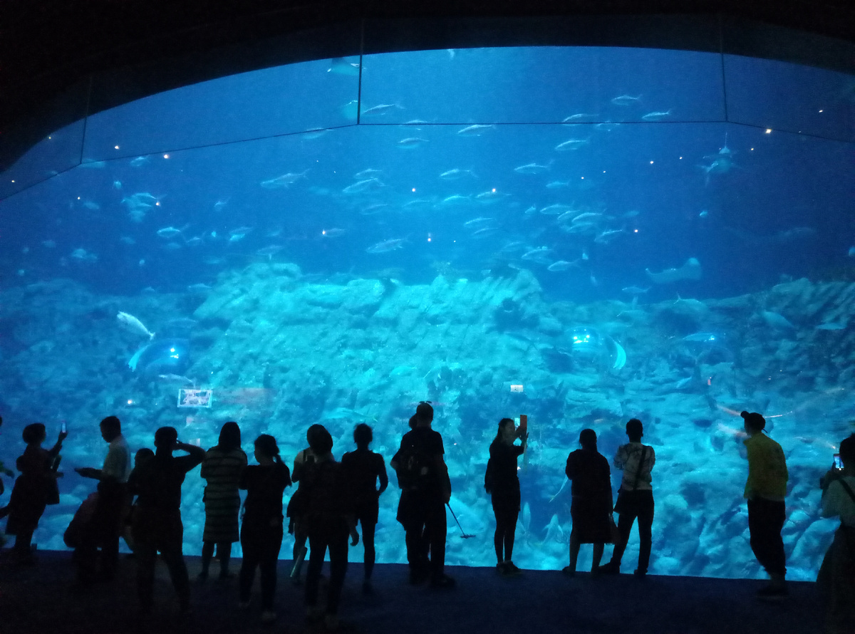 13-метровый Большой аквариум вмещает около 5000 рыб более чем 400 видов.