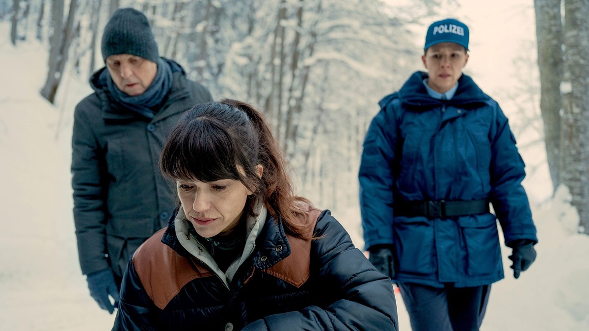 Кадр из сериала «Вильдер», 2017-2022 год, режиссеры Клаудио Фах, Ян-Эрик Мак, Пьер Моннар, Мауро Мюллер