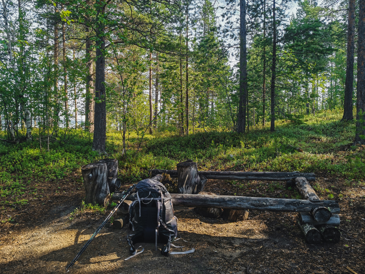 Стоянка Викинг