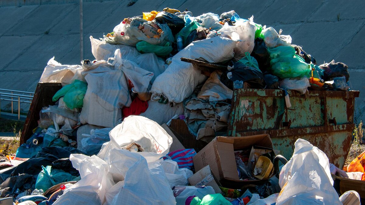    Фото: Svetlana Vozmilova/globallookpress.com