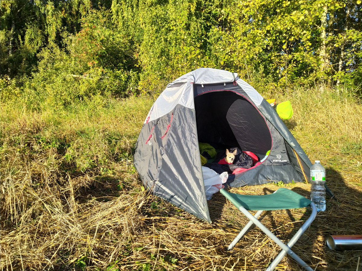Общий вид на новую палатку
