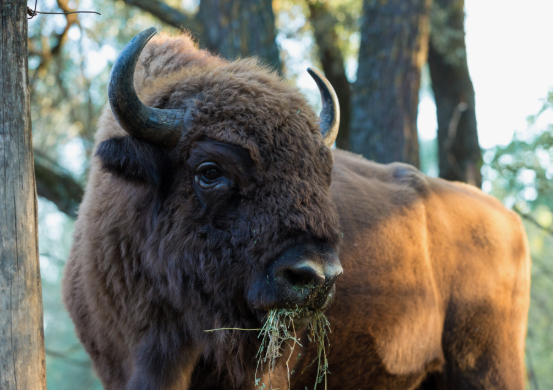 Поставь лайк!