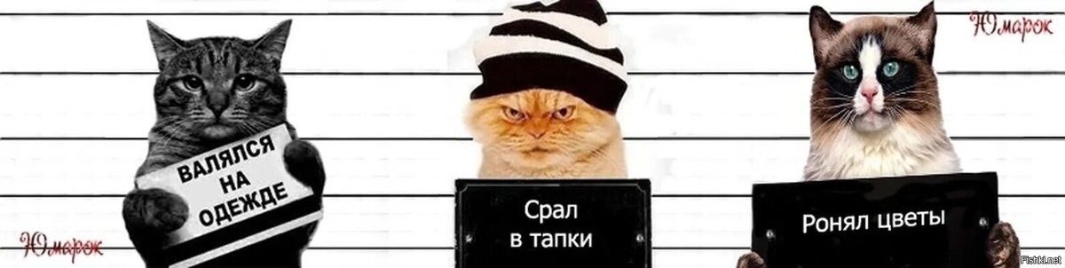 картинка из интернета