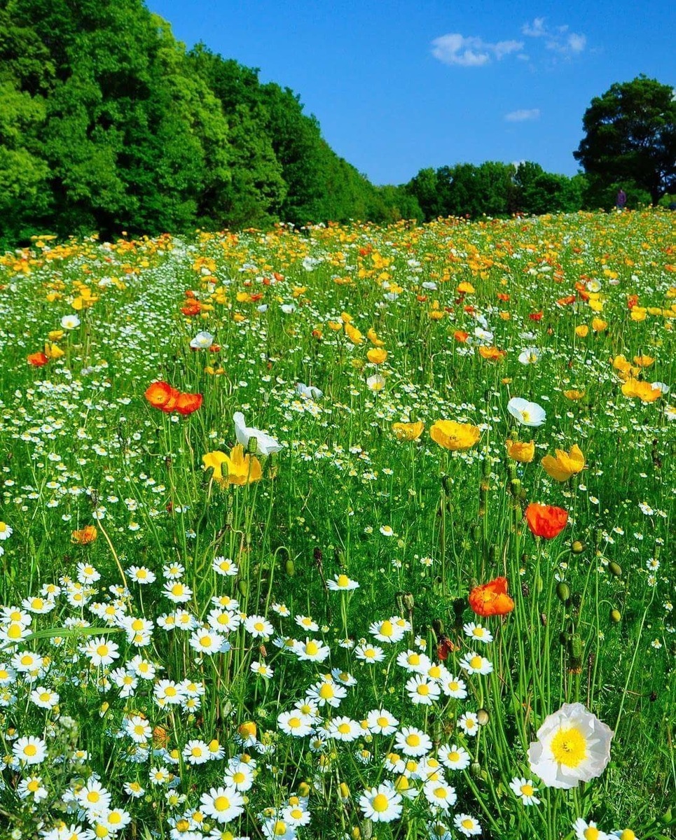 Фото из свободного поиска