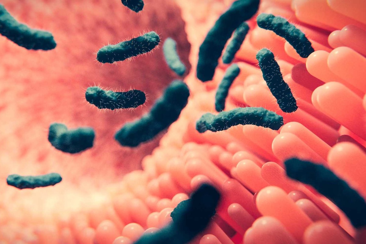    У курящих людей бактерии из ротовой полости перемемщаются в кишечник и размножаютсмя там, тогда как у некурящих они проходят ЖКТ транзитом