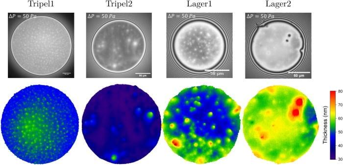    Микроинтерферометрия и 3D-карты толщины пены на разных сортах пива / © Chatzigiannakis E. et al. Physics of Fluids. 2025. DOI: 10.1063/5.0274943
