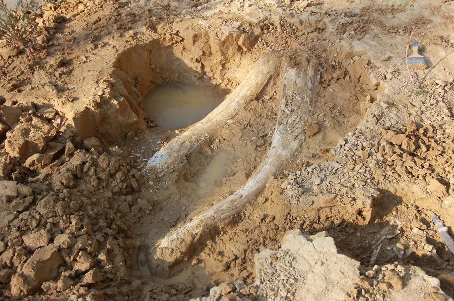 Фото: Илья Биушкин / телеграм-канал