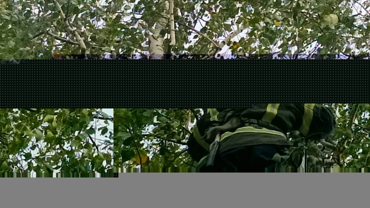    Фото: пресс-служба «Мособлпожспаса»