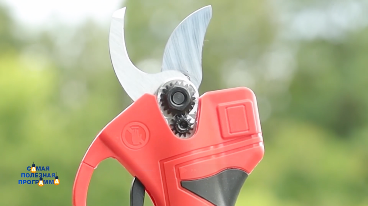 Фото: © Кадр из программы "Самая полезная программа", РЕН ТВ