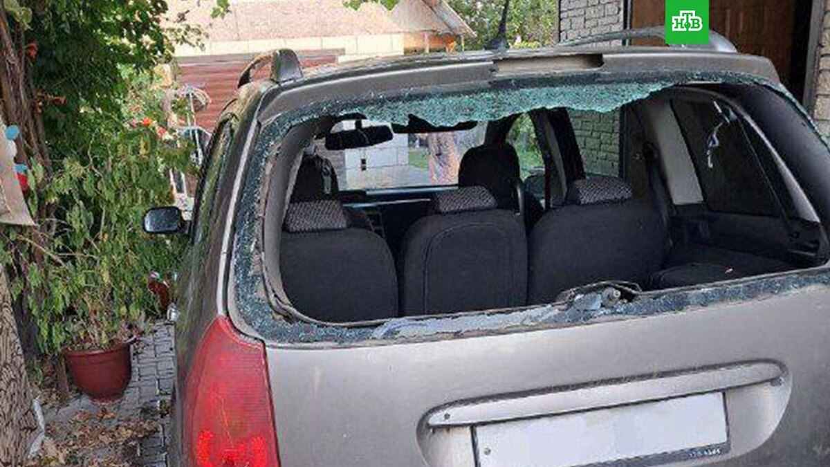    Фото: vvgladkov / t.me