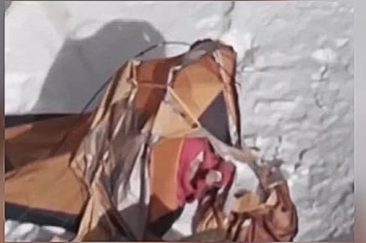    В совете альпинистов признали невозможность спасения Наговициной