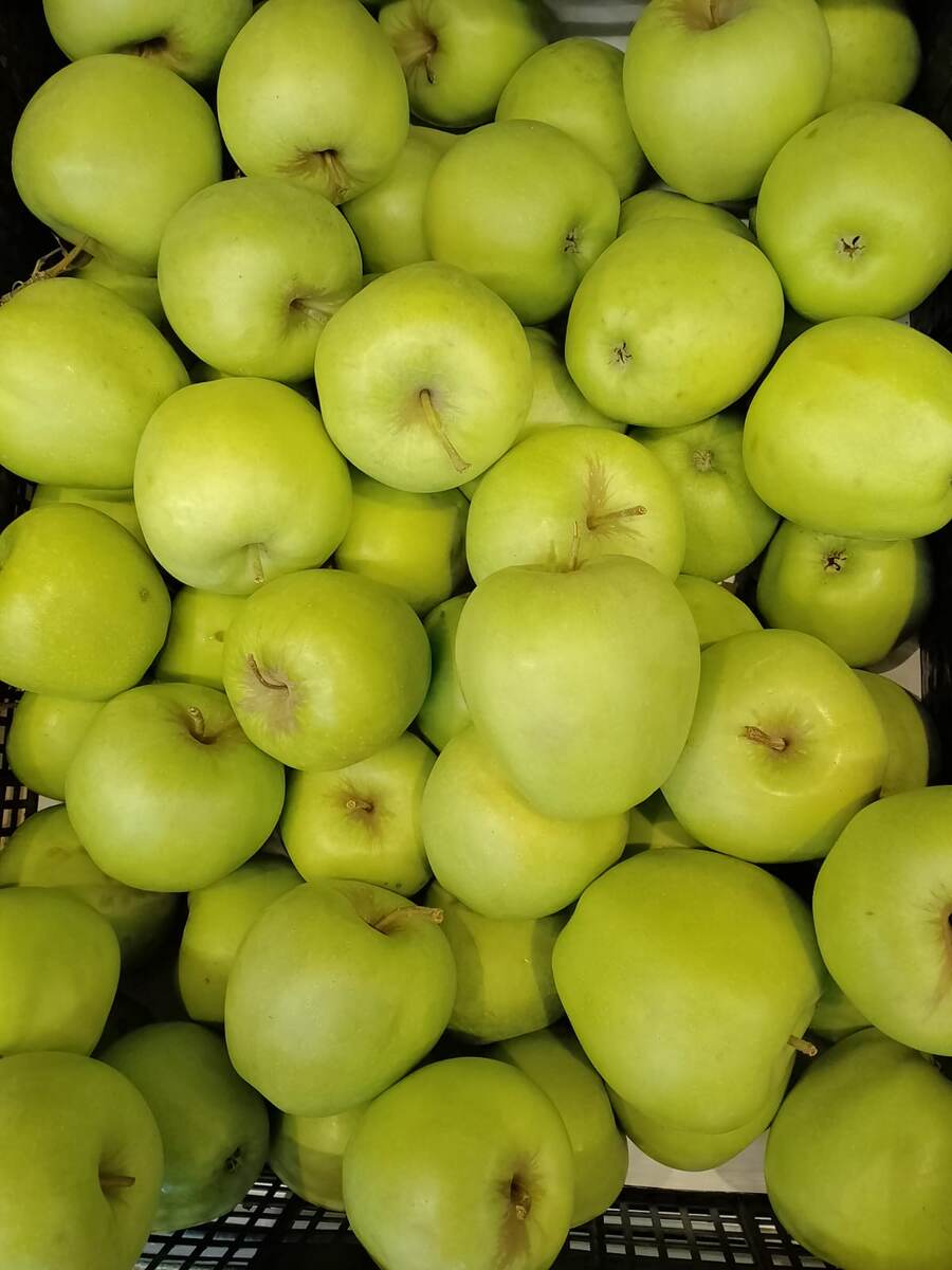 яблоки, фото 2025г