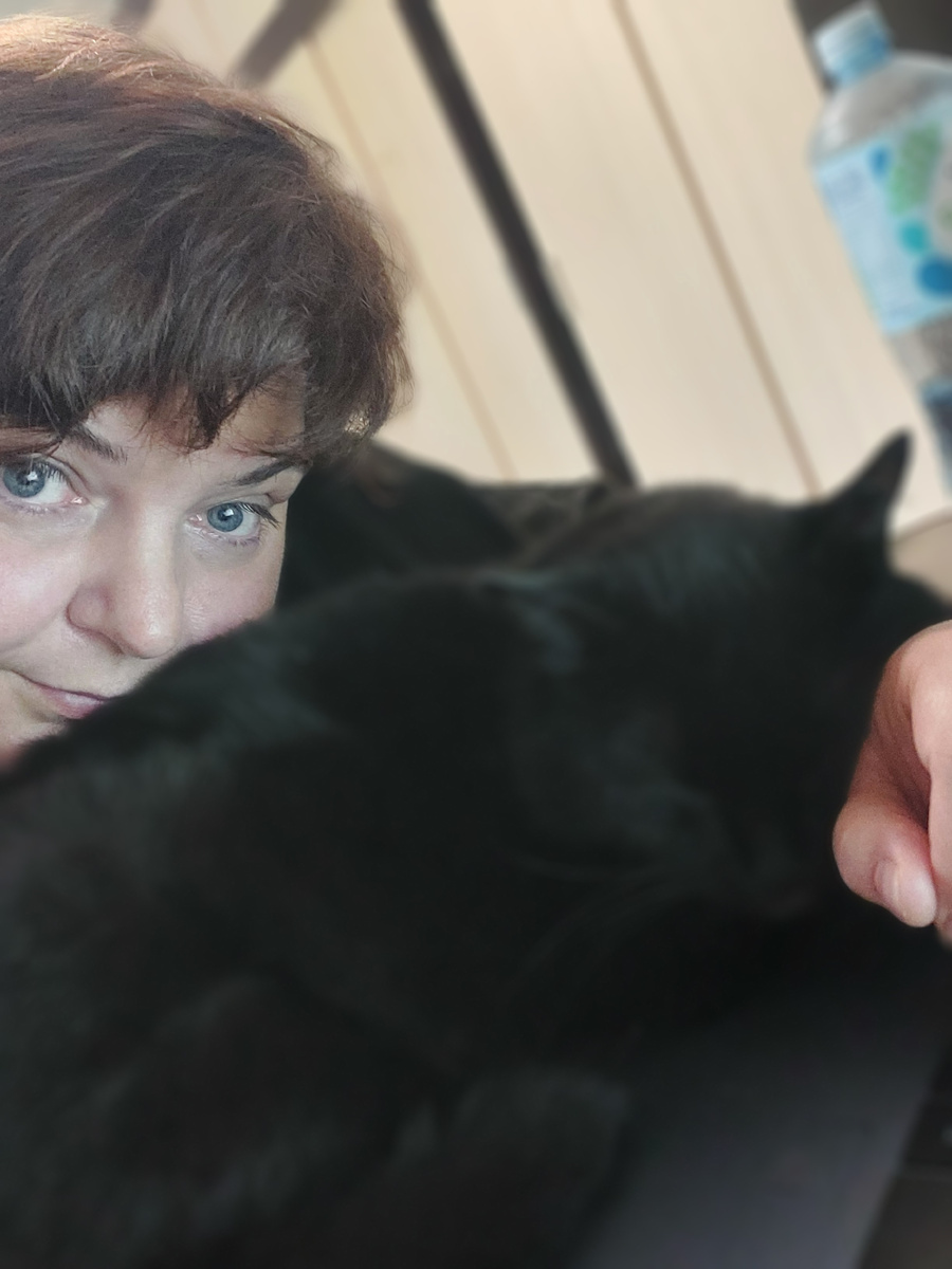 Вот так мы с котом зарабатываем деньги на вкусняшки