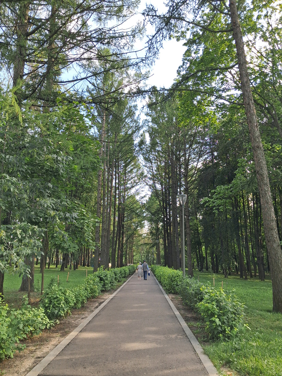 На аллее парка гуляют туристы. Фото автора. 