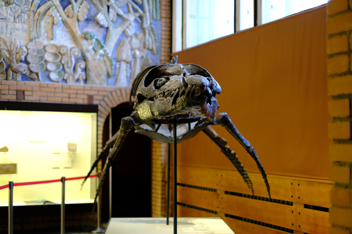 Монтированный скелет Pliosaurus rossicus