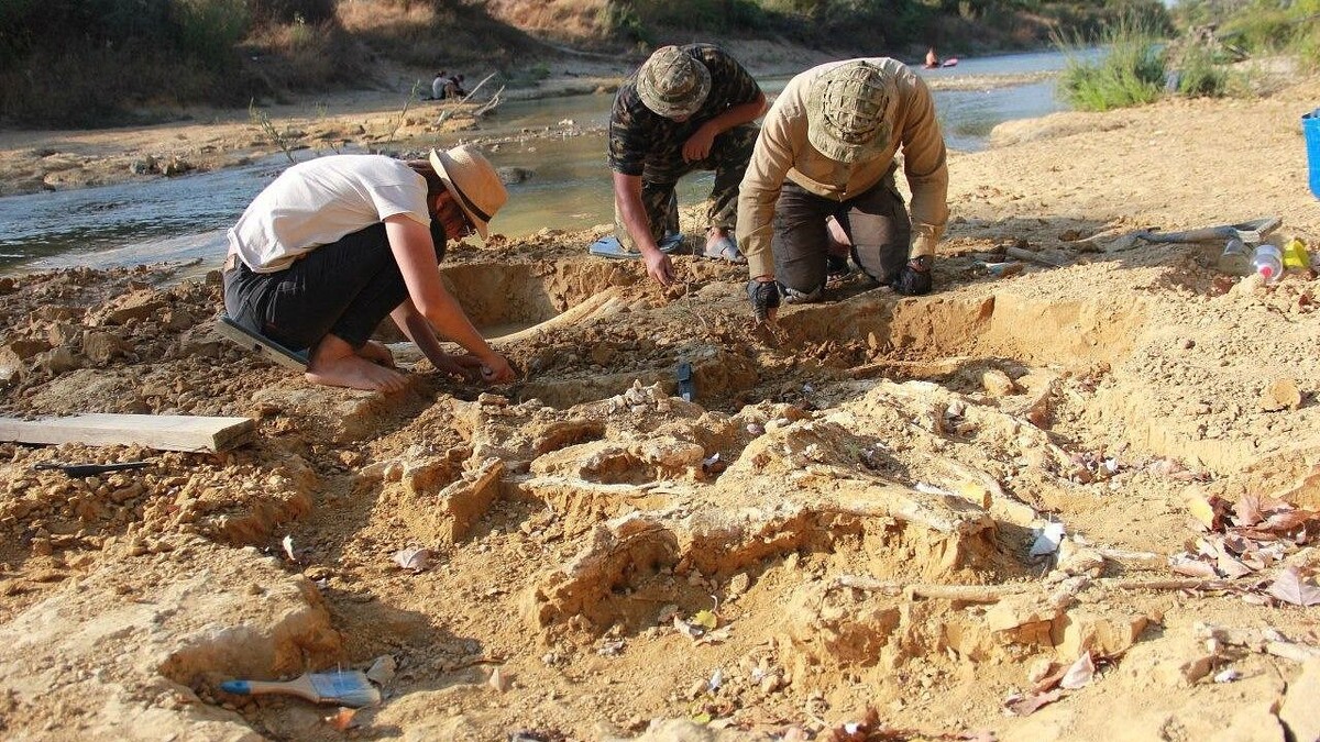    Фото: t.me/biushkin_official