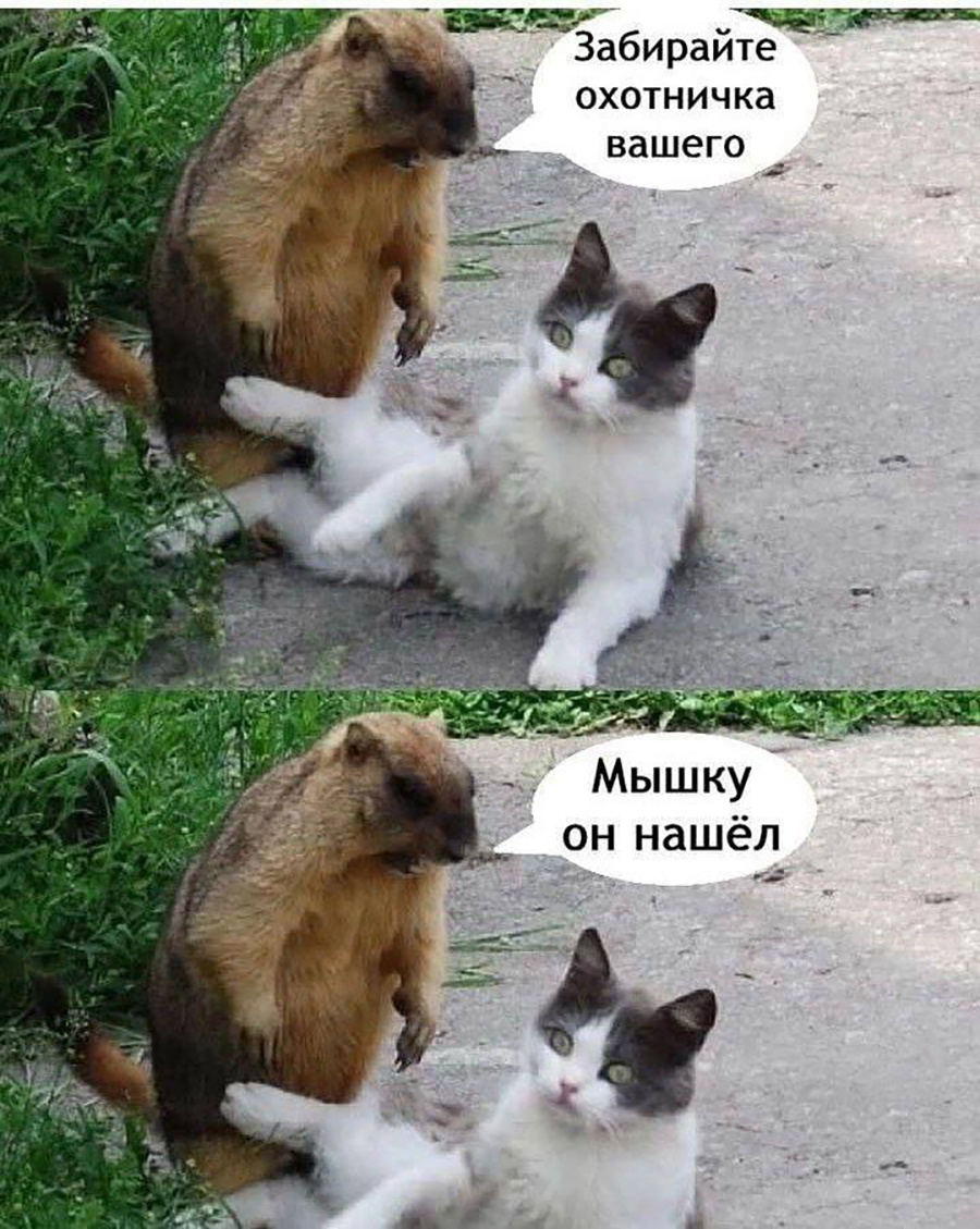 Охотник