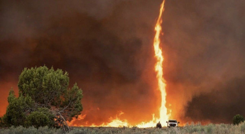 фото из открытых источников интернета