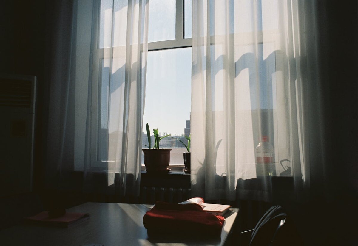 Фотограф: zheng liang: https://www.pexels.com/ru-ru/photo/29623050/