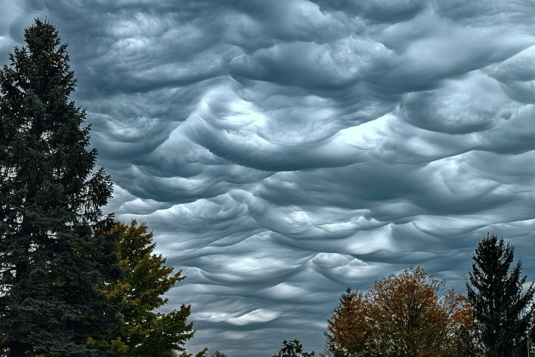 Источник: https://clk.li/WojU