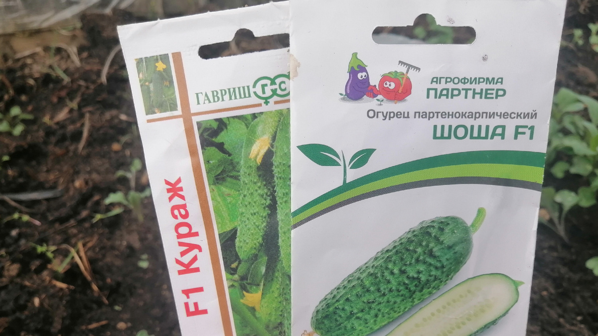 Красивые упаковки часто скрывают некачественные семена