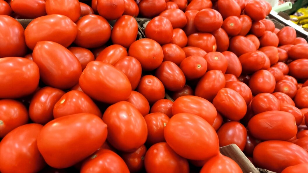    фото: Maksim Konstantinov/Global Look Press