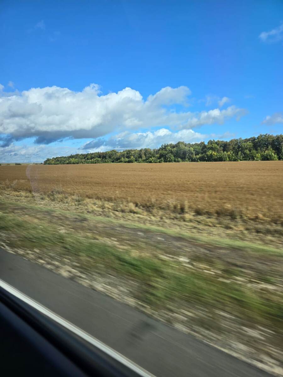 Вы видели когда-нибудь ржавое поле? У нас в Ростовской области таких не бывает. Что это растёт? Очень интересно🤔💭