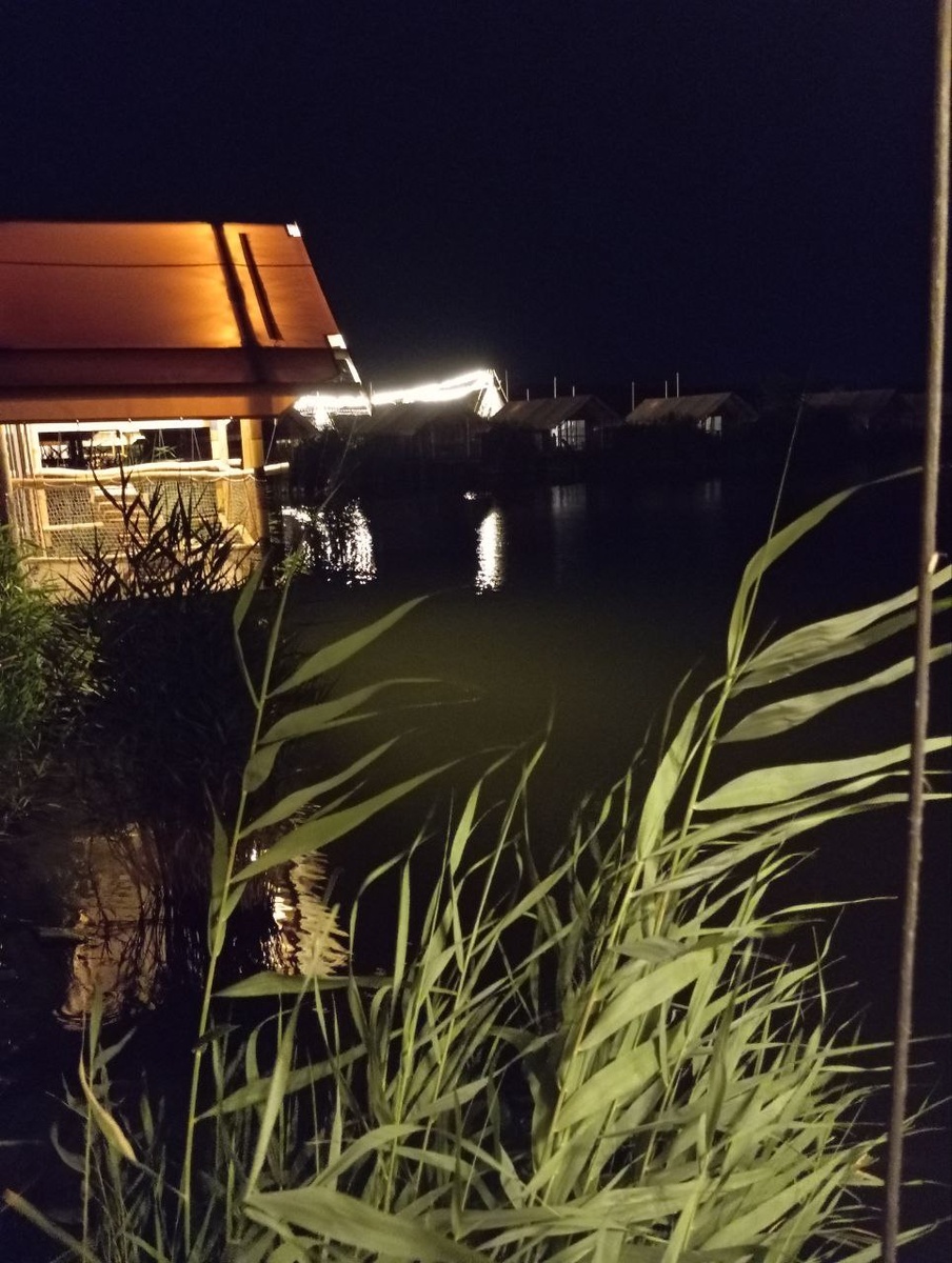 Ночьной глэмпинг. Листайте галерею.