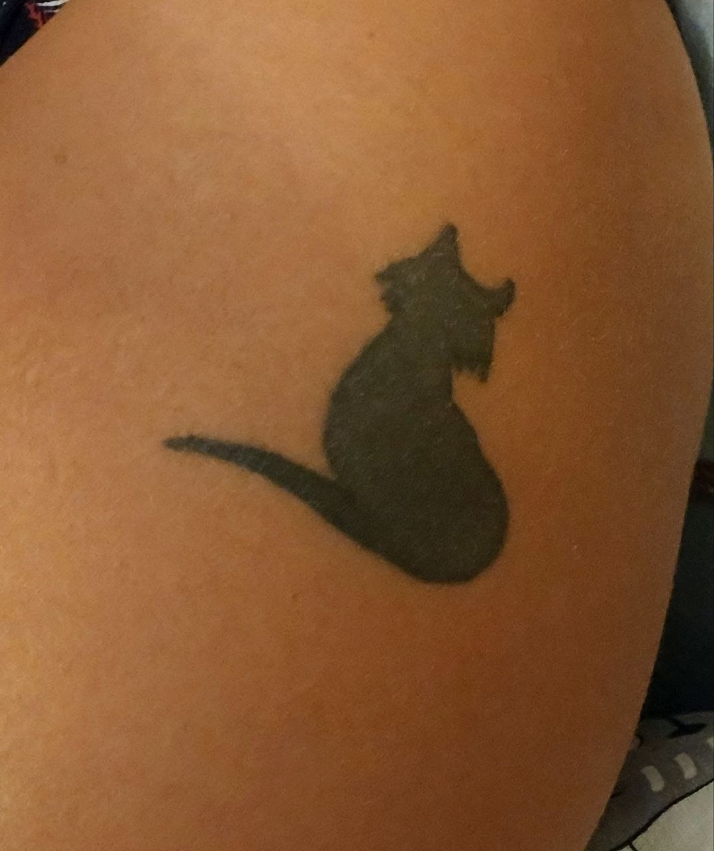 Вместе с 2006