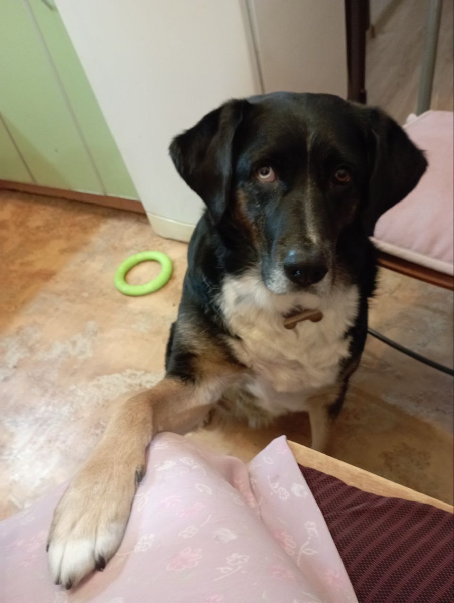 Привеееет!!