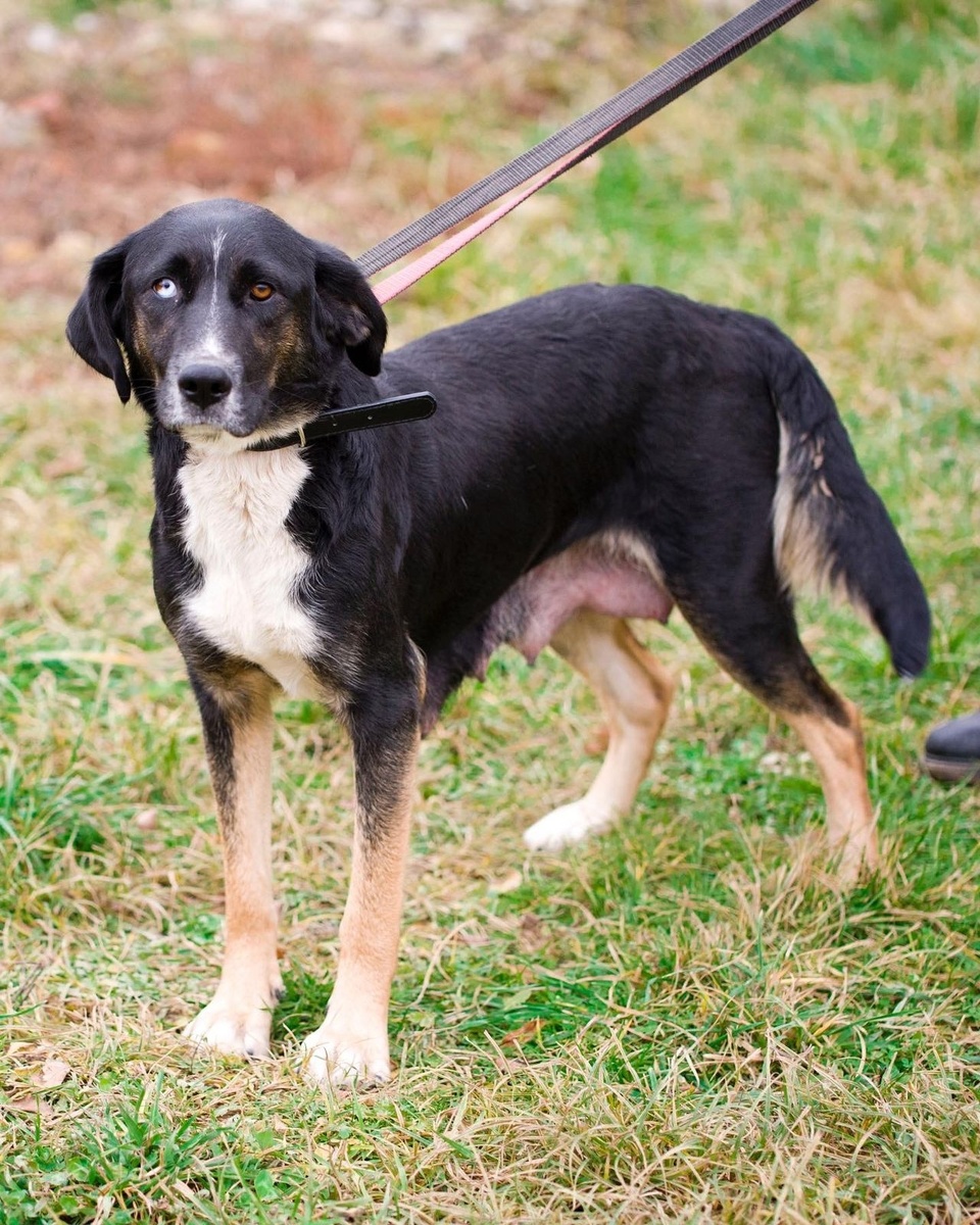 Когда только приехала