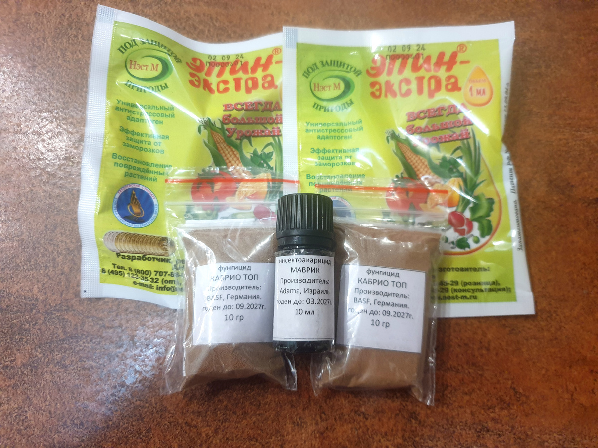 Фото автора.