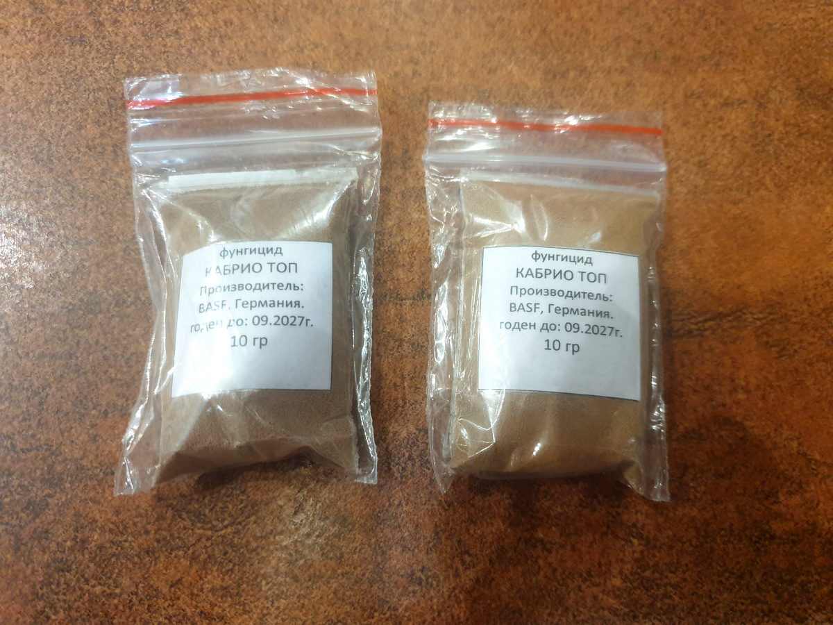 Фото автора.