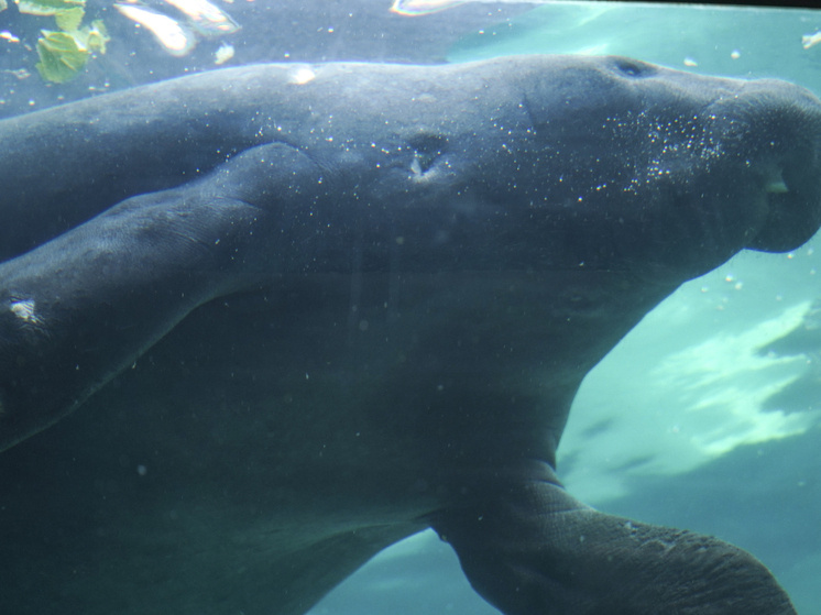     © Camilo Freedman/ dpa/Global Look Press