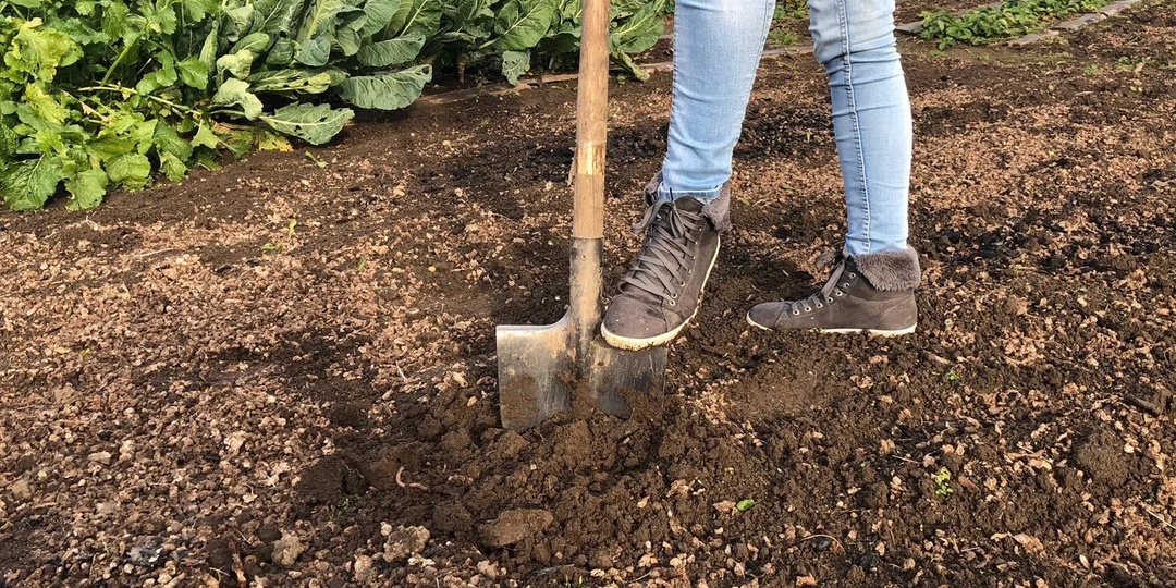 Никогда не перекапывайте огород осенью. Эту ошибку совершают 99% огородников