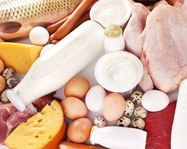 Факты о белке, которые вы не знали