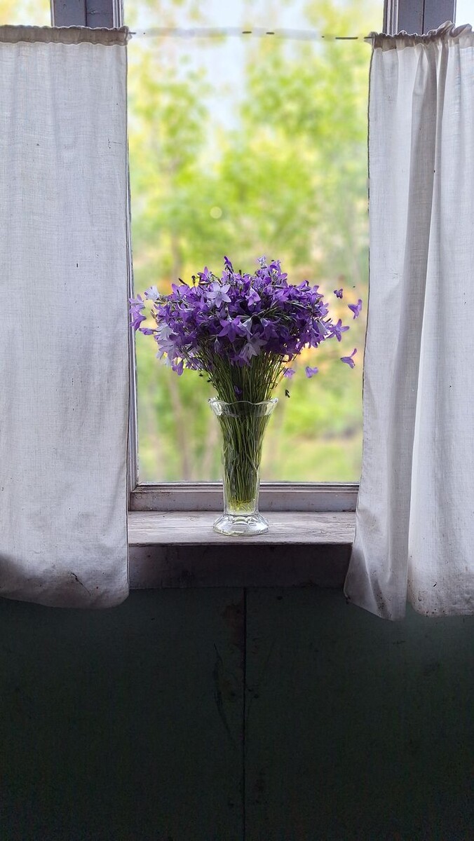 Букет колокольчиков(источник: Pinterest)