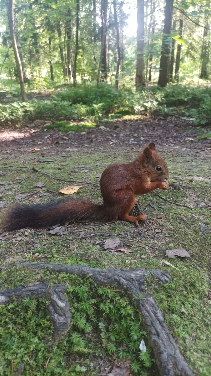 Реклама. 
Flight Marketplace Admin FZE. 
ИНН 9909618947 , 
erid 4VwJ3q8gFtJnVTfdBCvR7kHg99mMqb9bqp