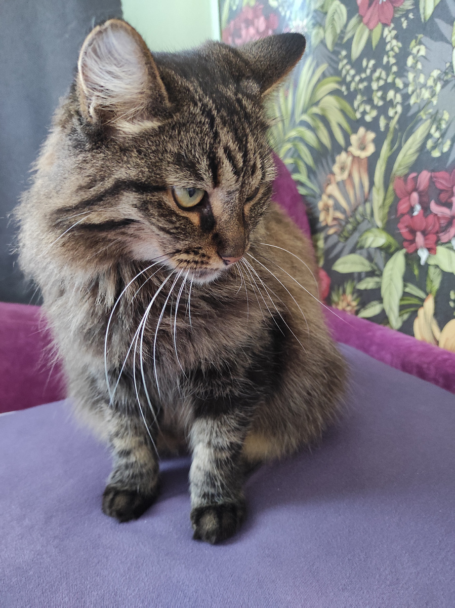 Ну, еле шевелится! Завтрак хотя бы будет? 