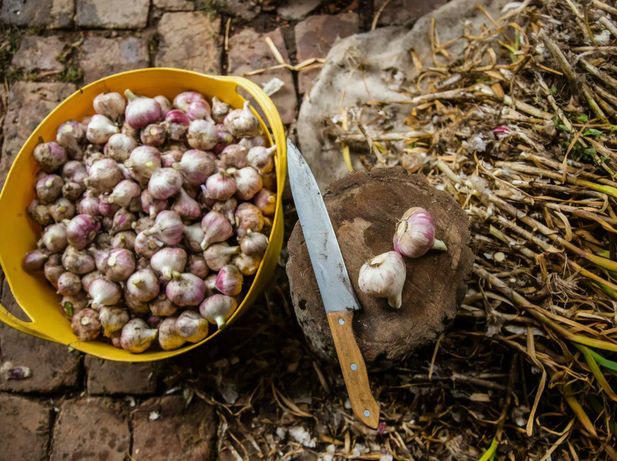 Источник фото: wishescards.ru