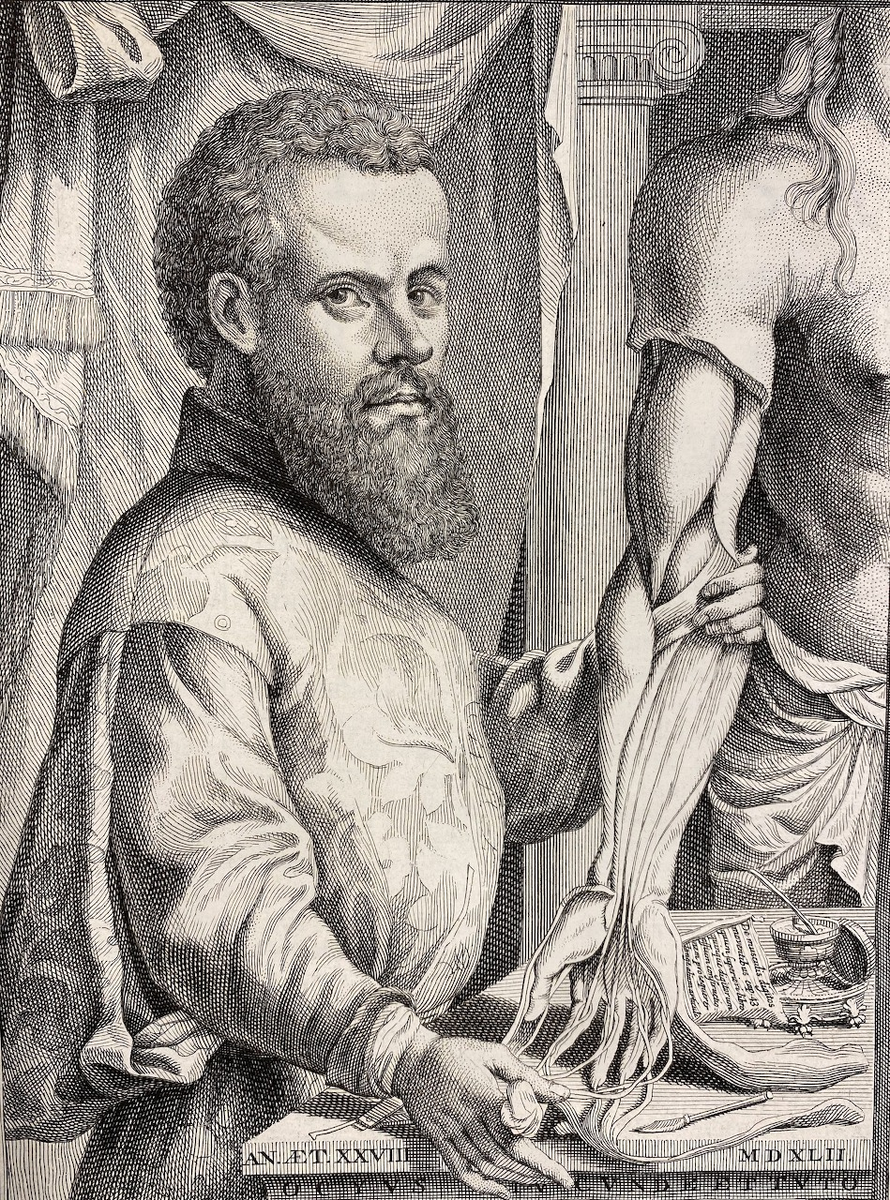 Андреас Везалий