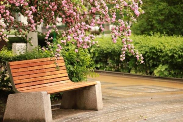    Иллюстрация фотобанка Ростовского отделения СЖР Валерия Стальная