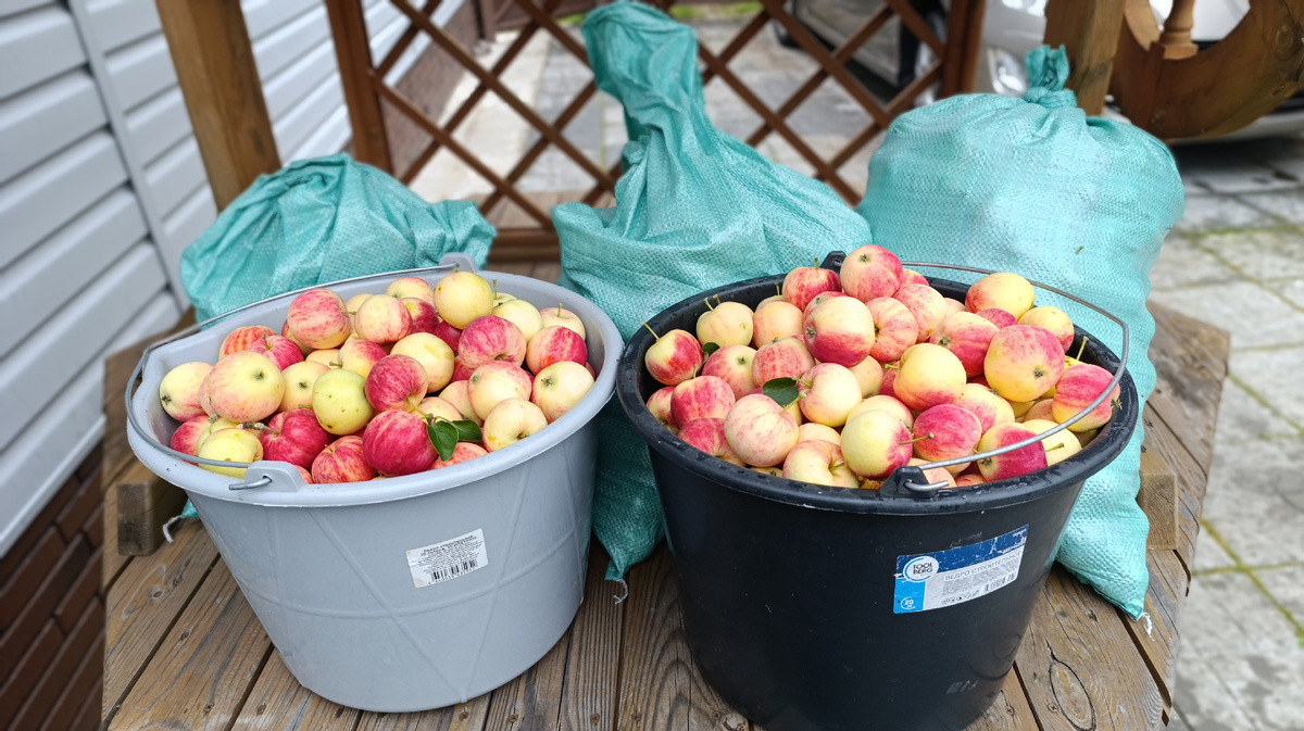 Здесь ещё добавится большой пакет, а вёдра 20-ти литровые