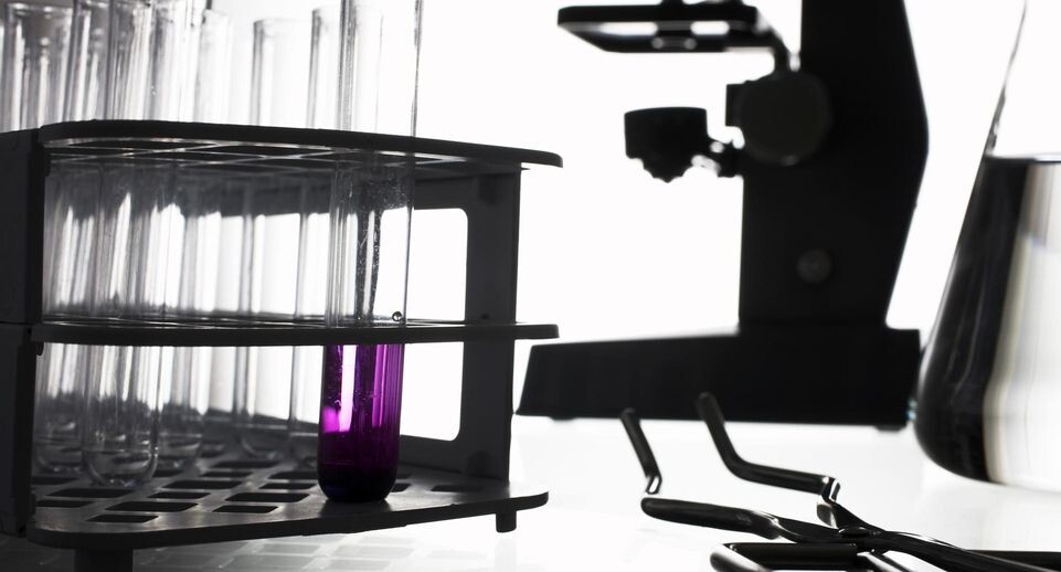    Jörg Horstmann/imageBROKER.com / www.globallookpress.com