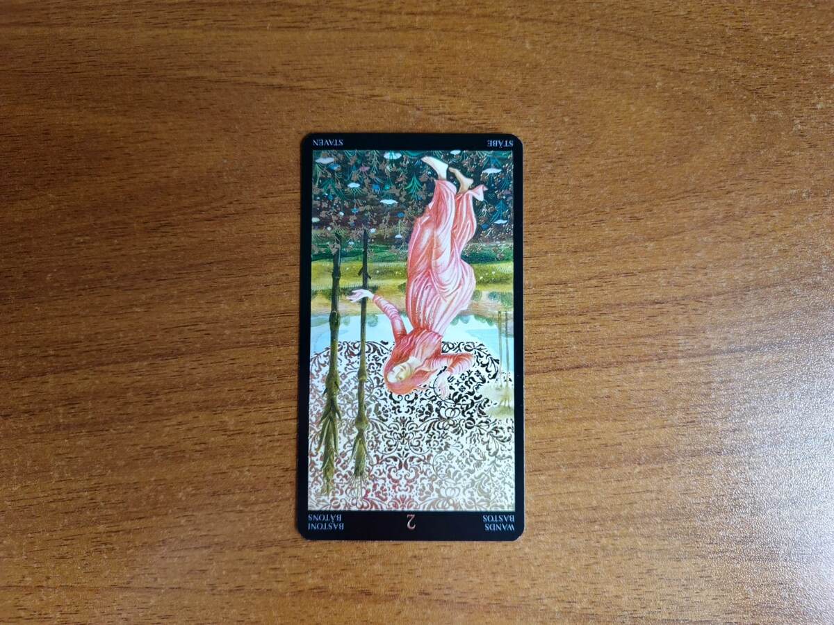 Карта Таро 2 Жезлов