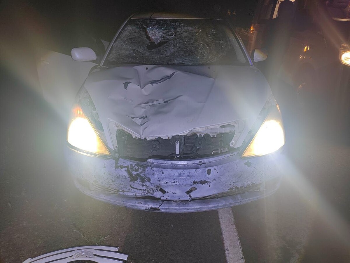    Фото: Госавтоинспекция Забайкалья