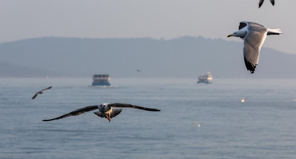    Belkin Alexey/news.ru / www.globallookpress.com