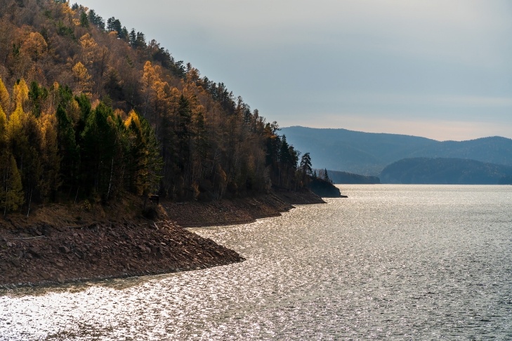    Фото Андрея Заржецкого
