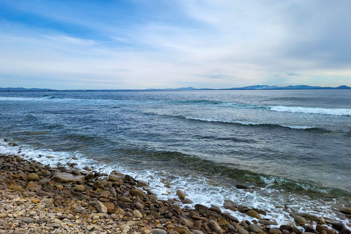 Поиски осложняются крайне труднодоступной местностью.  Фото: Фото: ФедералПресс / Анна Миронова