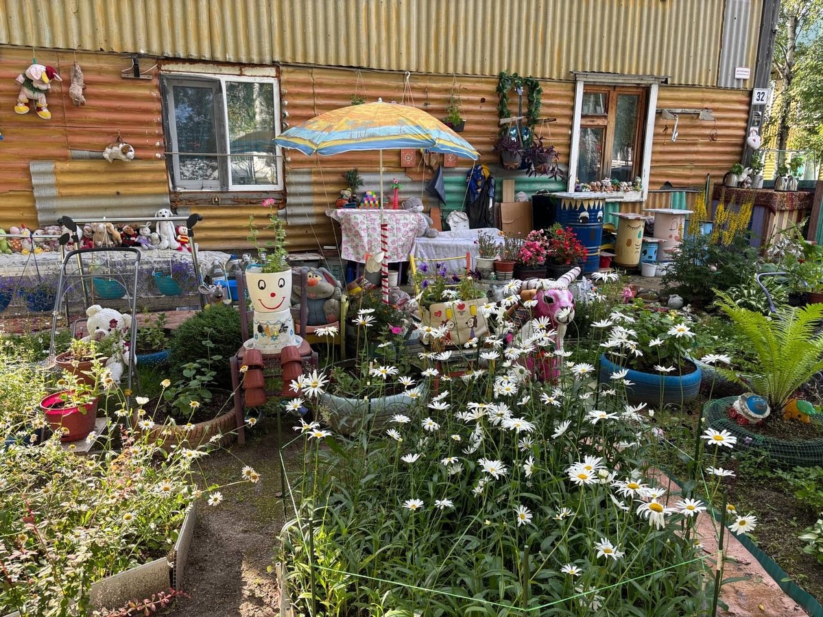    Ботиночки висели на заборе